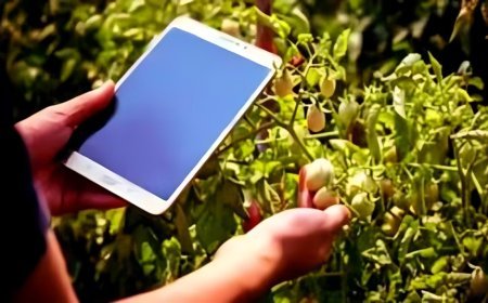 Lucknow News: Mobile App के माध्यम से मृदा परीक्षण कराएं किसान, 21, 25, 29 अप्रैल 2025 व 05 मई 2025 को विशेष अभियान आयोजित