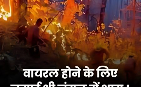 अजब गजब: रील्स बनाने की होड़ में जंगल स्पॉट को चुन रहे लोग, जंगल को जलाने का वीडियो वायरल