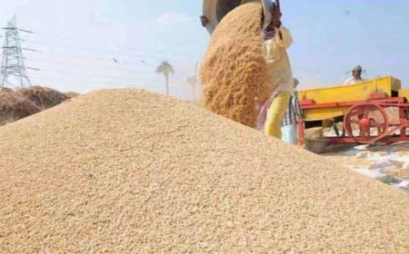 Lucknow News: गेहूं बिक्री के लिए प्रतिदिन एक हजार से अधिक किसानों ने कराया पंजीकरण, 42 दिन में 4,20, 837 किसानों ने करा लिया है पंजीकरण