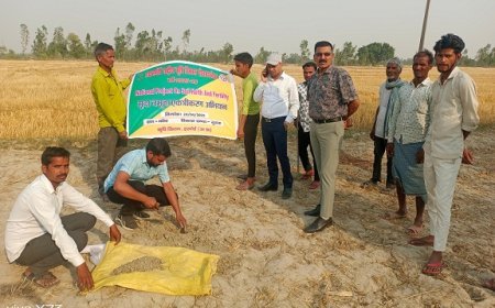 Hardoi News: मृदा परीक्षण उपरान्त कृषकों निःशुल्क दिये जायेंगे मृदा स्वास्थ कार्ड। 