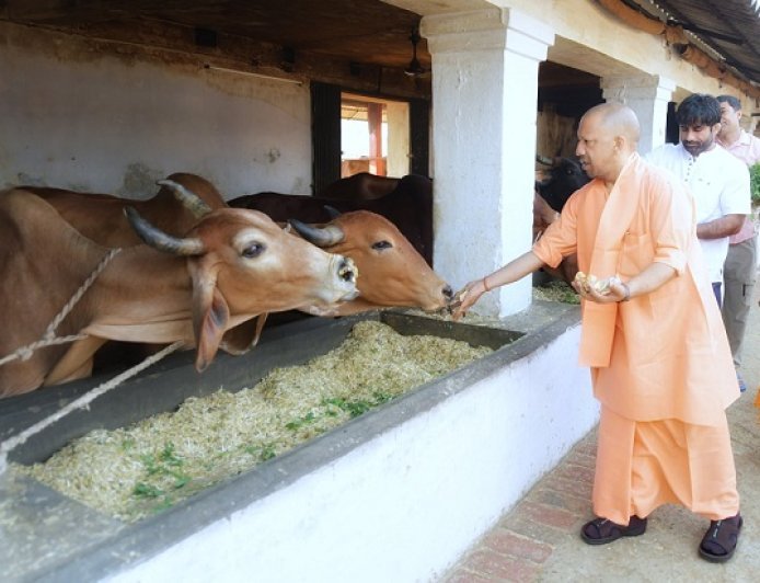 Lucknow: गोशालाओं में अब होगी स्वस्थ प्रतिस्पर्धा, उत्कृष्ट मॉडल को मिलेगा राज्यस्तरीय सम्मान
