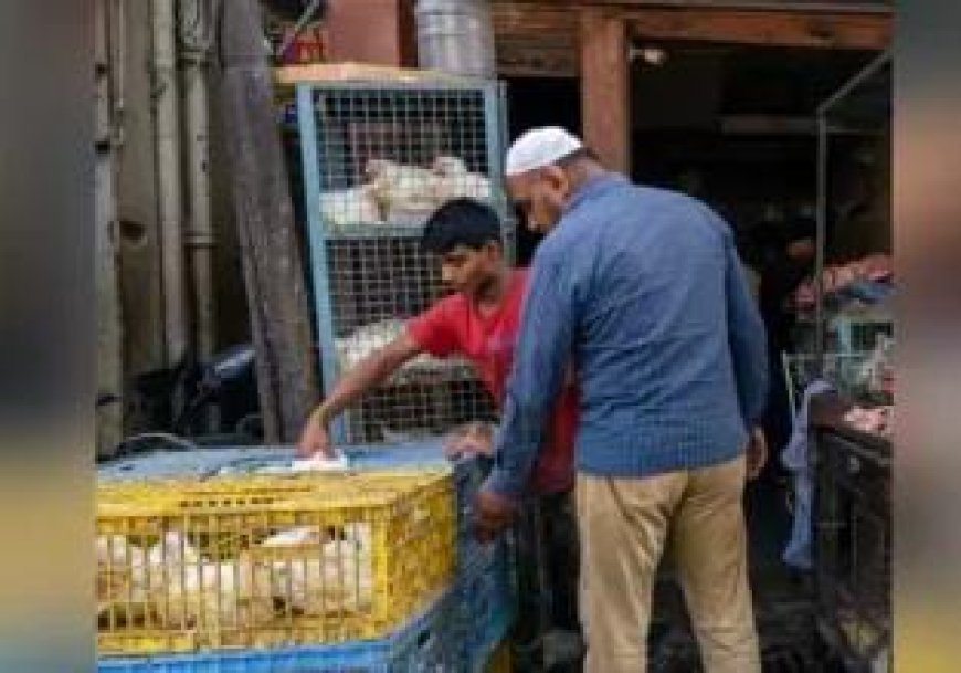 MP News: नवरात्र को लेकर मांस की दुकान खोलने पर लगी रोक, इन तारीखो तक रहेंगी दुकाने बंद। 