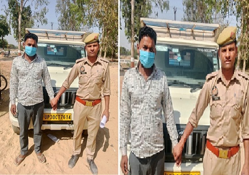 Hardoi News: घर के बाहर बंधी पड़िया खोलकर नखासे में बेच देने वाला चोर गिरफ्तार, घटना में प्रयुक्त पिकअप डाला बरामद। 