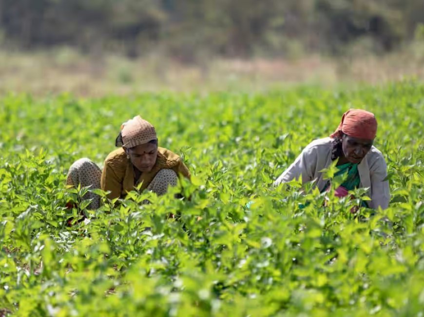 Lucknow News: किसानों को 30 जून तक मिलेगा घर बैठे फसल बेचने का मौका