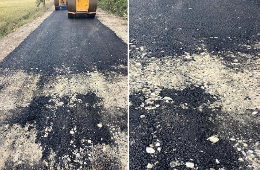 Uttarakhand News: भौना बिरहा सड़क का घटिया निर्माण करने का आरोप- महेश राठौर