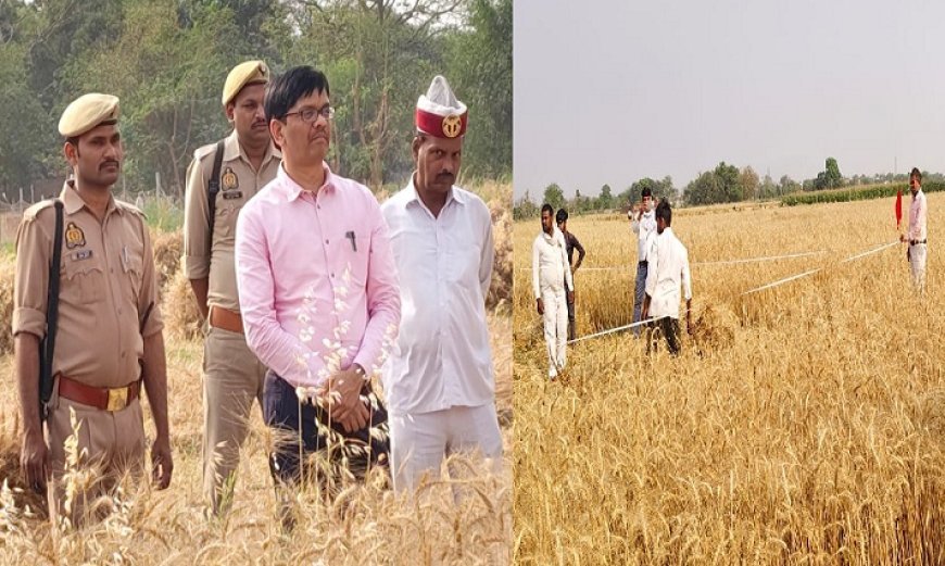 Ballia News: जिलाधिकारी ने ग्राम टकरसन में फसल गेहूं की क्रॉप कटिंग के कार्यों का किया निरीक्षण। 