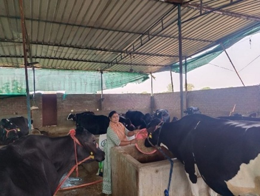 UP News: योगी सरकार का मिला सहारा, गरीबी को पीछे छोड़ लखपति बनी सोनभद्र की विनीता।