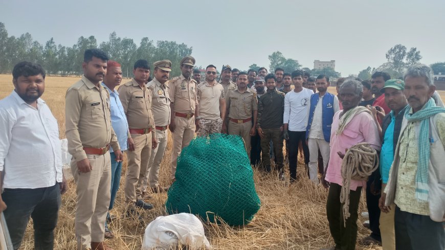 Hardoi News: रात के अंधेरे में कुएं में गिरा सियार, वन विभाग की टीम ने सफल रेस्क्यू किया