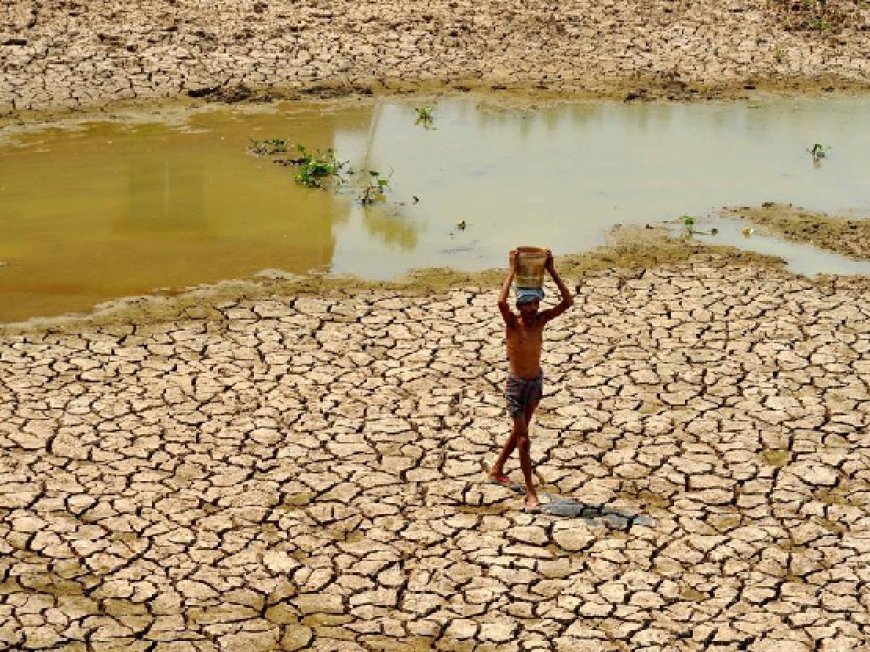 Hardoi News: सौ से ज्यादा तालाबों में उड़ रही इन दिनों धूल, गर्मी बढ़ते ही सूखने लगे तालाब, जंगली जीव जंतु व मवेशी पानी संकट से परेशान। 