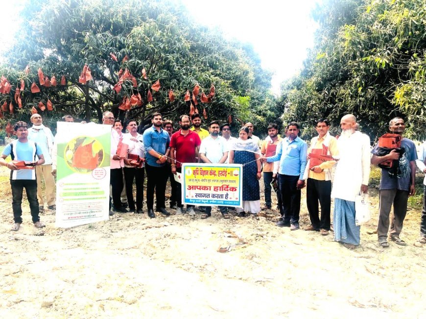 Hardoi News: कृषि विज्ञान केंद्र हरदोई ने आम के बागवानों को किया जागरूक 