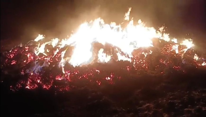 Hathras News: गेहूं की कटी हुई फसल में लगी भीषण आग, किसान का हजारों का नुकसान हुआ