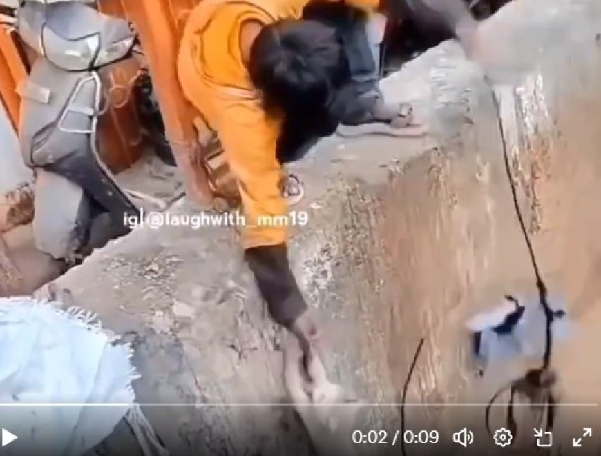 Viral News: करने चला था बिल्ली की मदद लेकिन किस्मत ने दे दिया धोखा, देखें वीडियो। 