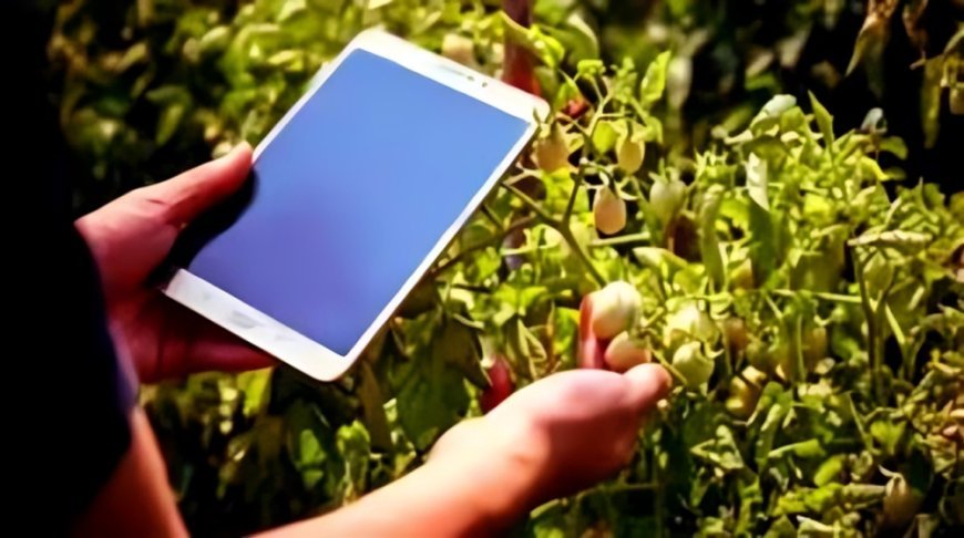 Lucknow News: Mobile App के माध्यम से मृदा परीक्षण कराएं किसान, 21, 25, 29 अप्रैल 2025 व 05 मई 2025 को विशेष अभियान आयोजित