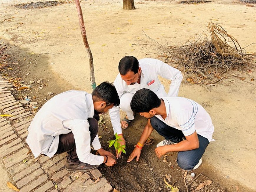 Hardoi News: पौधरोपण कर मनाया समाजसेवी ने जन्मदिवस, बीते कल शहर के गाँधी मैदान में हुआ पौधरोपण कार्यक्रम। 