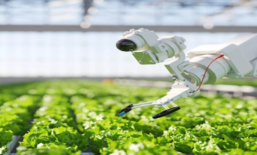 UP News: इजरायली टेक्नोलॉजी से किसानों की आमदनी दोगुना करेगी योगी सरकार, 26 करोड़ पौध करेंगे तैयार। 