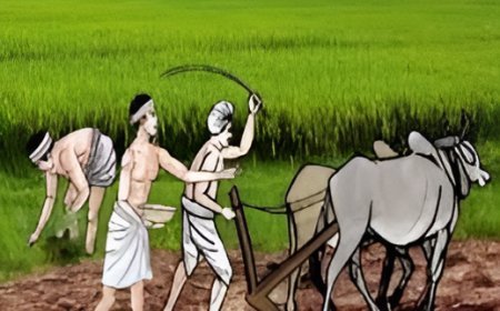 Lucknow News: 02 मई को आयोजित की जाएगी राज्य स्तरीय खरीफ उत्पादकता गोष्ठी-2025