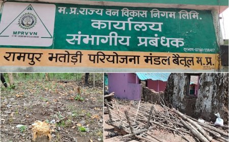 MP News: एसडीओ के संरक्षण में निगम की चोपना रेंज में रेंजर और डिप्टी रेंजर कर रहे है  खुला भ्रष्टाचार, पीओआर करने के बाद आरोपी सहित बैलगाड़ी को छोड़ा। 