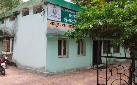 Baitul News: बैतूल में वन विकास निगम में भ्रष्टाचार का बोलबाला, रेंजर शुक्ला पर लाखों के गबन का आरोप