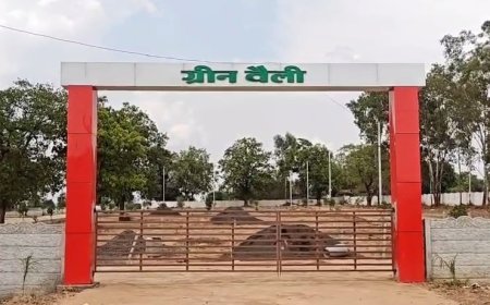 MP News: अवैध कालोनियों के निरीक्षण कर सांठगांठ करने में लगे है जिले के जिम्मेदार, कार्यवाही न होने से उठ रहे कई सवाल ,चौक चौराहों पर हो रही अवैध कालोनियों को लेकर चर्चा। 