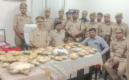 विश्व कछुआ दिवस (23 मई) पर विशेष- विभिन्न राज्यों से पकड़े गए कछुओं को उत्तर प्रदेश में लाकर किया जा रहा संरक्षित। 