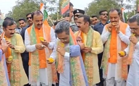 Politics News: डिप्टी सीएम केशव मौर्या ने 8,000 के खरीदे आम, कहा- तुम्हारा आम अच्छा है, वीडियो हुआ वायरल। 