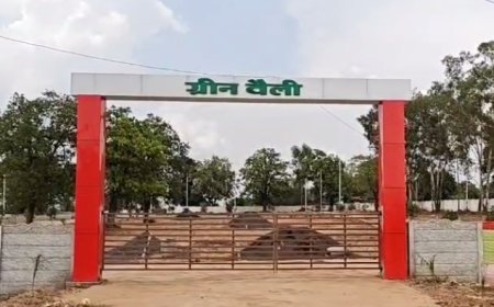 MP News: एसडीएम बैतूल की बड़ी कार्यवाही- अवैध कॉलोनी ग्रीन वेली को डिस्मेंटल कर भूस्वामियों पर एफआईआर के दिये, 20 दिन की जांच के बाद कि गई बड़ी कार्यवाही। 