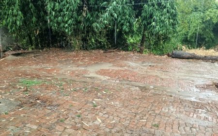 Hardoi News: नौतपा में हुई बारिश से किसानों के चेहरे खिले, आमजन ने ली गर्मी से राहत की सांस। 