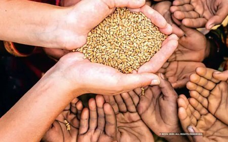 Lucknow News: जून 2025 में अंत्योदय और पात्र गृहस्थी कार्डधारकों को निःशुल्क खाद्यान्न वितरण, व्यापक व्यवस्था सुनिश्चित