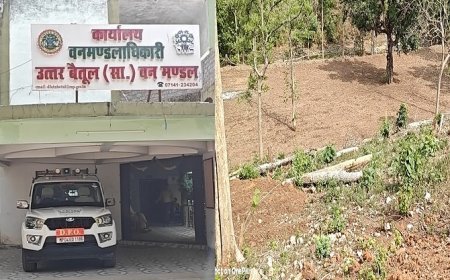 MP News: सामान्य वन मण्डल के जंगल में अतिक्रमणकारियों का राज, आधा सैकड़ा सागौन के पेड़ काटकर जेसीबी से तैयार की खेती के लिए जमीन, डीएफओ ने कहा जांच के बाद होगी कार्यवाही। 