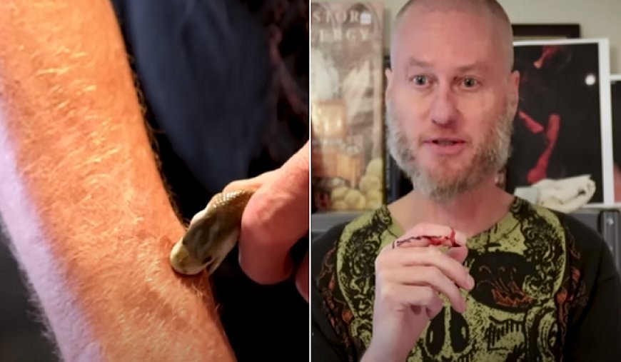 Ajab Gajab: 200 जहरीले सांपों ने काटा, फिर भी जिंदा है यह ‘विष पुरुष’, खून में रंगों सा दौड़ता है जहर। 