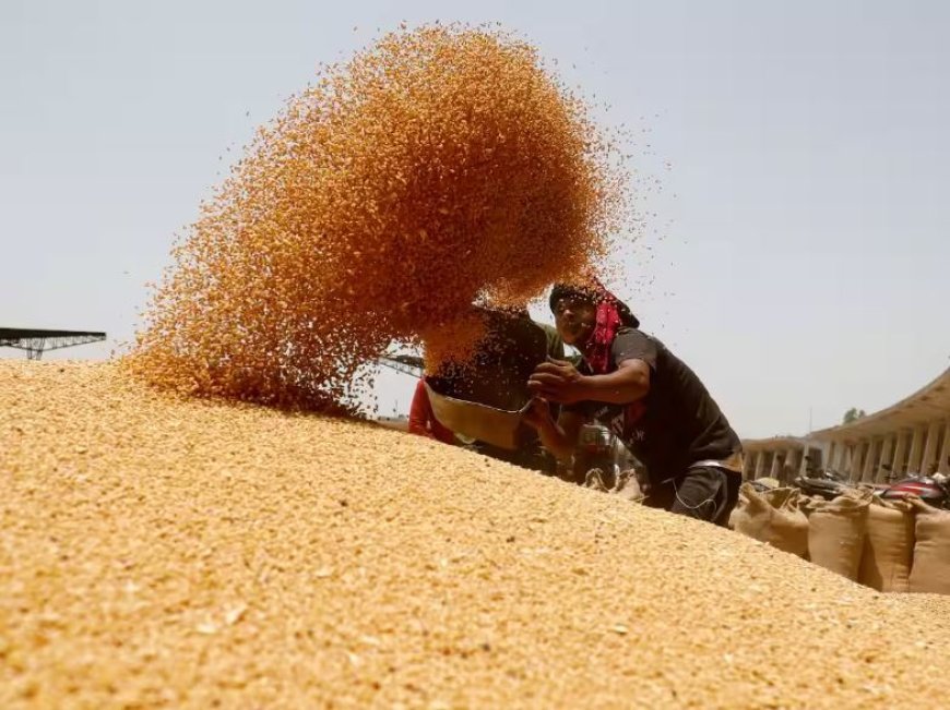 Lucknow News: उत्तर प्रदेश ने बनाया नया कीर्तिमान, 1.73 लाख किसानों से 9.26 लाख मीट्रिक टन से अधिक की हुई गेहूं खरीद