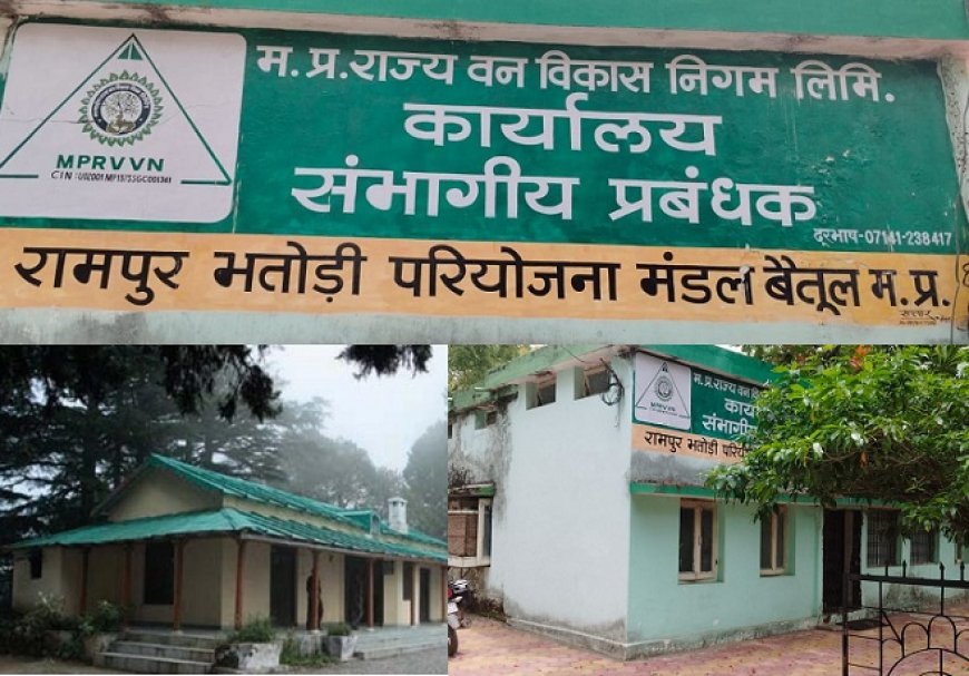 MP News: 'जंगल में मोर नाचा किसने देखा' कुछ ऐसा ही मामला निगम के जंगलों की जांच करने आये आरजीएम का है, लीपापोती कर पेटी लेकर वापस हुए आरजीएम। 