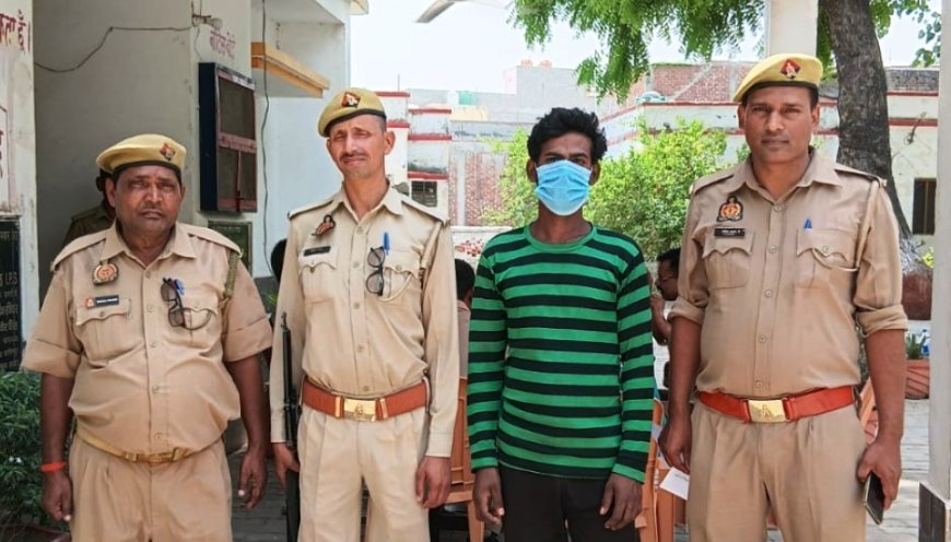 Hardoi News: घर के बाहर बंधी भैंस को चोरी से खोलकर ले जाने के मामले में गिरफ्तार