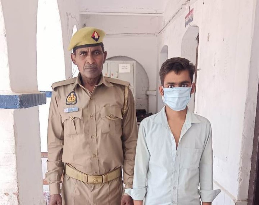 Hardoi News: हरदोई में अवैध हथियार के साथ अभियुक्त गिरफ्तार, तमंचा और कारतूस बरामद