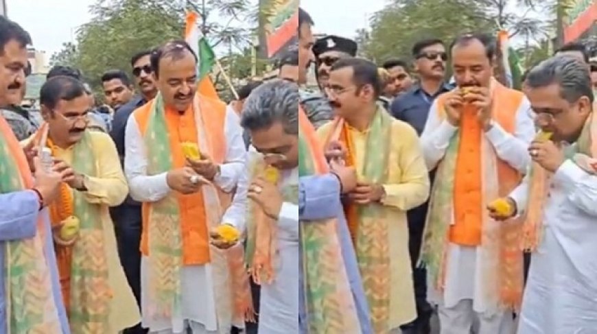 Politics News: डिप्टी सीएम केशव मौर्या ने 8,000 के खरीदे आम, कहा- तुम्हारा आम अच्छा है, वीडियो हुआ वायरल। 