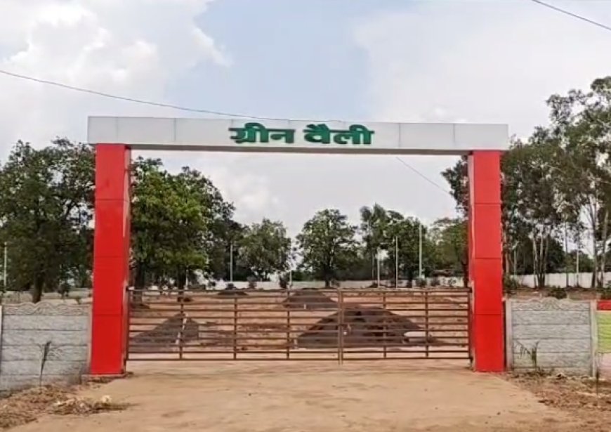 MP News: एसडीएम बैतूल की बड़ी कार्यवाही- अवैध कॉलोनी ग्रीन वेली को डिस्मेंटल कर भूस्वामियों पर एफआईआर के दिये, 20 दिन की जांच के बाद कि गई बड़ी कार्यवाही। 