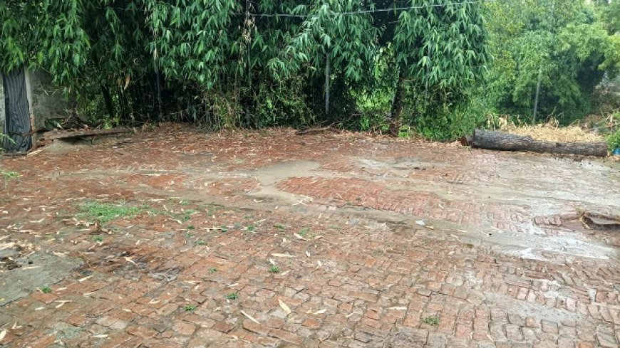 Hardoi News: नौतपा में हुई बारिश से किसानों के चेहरे खिले, आमजन ने ली गर्मी से राहत की सांस। 