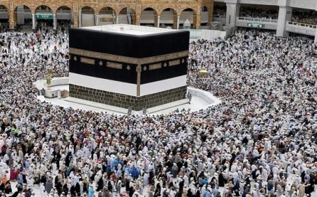 Viral News : हज 2025- सऊदी अरब ने बिना परमिट मुस्लिमों के मक्का प्रवेश पर लगाई रोक, 2.69 लाख से अधिक तीर्थयात्रियों को रोका। 