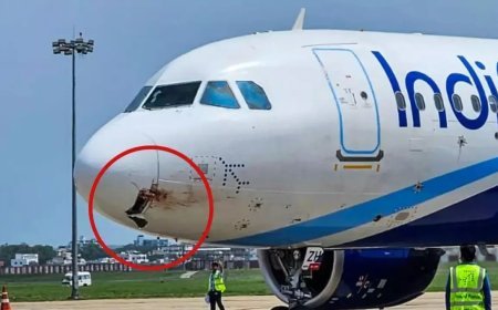 Viral: रांची में इंडिगो फ्लाइट की गिद्ध से टक्कर, 4000 फीट की ऊंचाई पर इमरजेंसी लैंडिंग, 175 यात्री सुरक्षित
