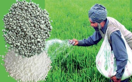 Hardoi News: गलत तरीके से उर्वरक वितरण करने पर उर्वरक बिक्रेता के खिलाफ कड़ी कार्रवाई होगी- सतीश पाठक