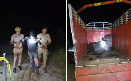 हरदोई में भैंस चोरी के चार शातिर अभियुक्त पुलिस मुठभेड़ में गिरफ्तार, 3 लाख रुपये और अवैध शस्त्र बरामद। 