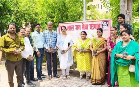 Hardoi News: कुबेर लाल जन सेवा संस्थान ने विश्व पर्यावरण दिवस 2025 पर किया पौधारोपण, दिया हरियाली का संदेश। 