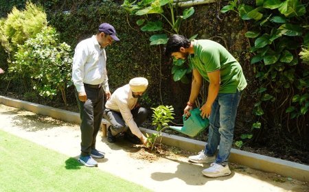 Deoband News: द दून वैली पब्लिक स्कूल देवबन्द में पौधे लगाकर मनाया गया विश्व पर्यावरण दिवस। 