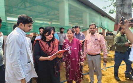 Hardoi News: हरदोई और साण्डी में गंगा दशहरा, ईद-उल-अज़हा, विश्व पर्यावरण दिवस और योग दिवस की तैयारियों का निरीक्षण