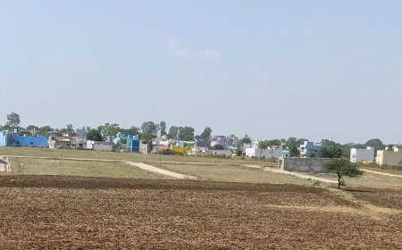 Baitul News: बैतूल के मुलताई में अवैध कॉलोनियों का जाल, नगरपालिका की चुप्पी पर उठे सवाल, जिम्मेदारों की चुप्पी अब संदेह के घेरे में, TNCP, RERA और नगर पालिका अंधेरे में?