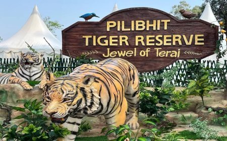 Lucknow News : ईको टूरिज्म के साथ समावेशी विकास को बढ़ावा दे रही ईको डेवलपमेंट कमेटियां, पीलीभीत टाइगर रिजर्व की ईडीसी के जरिये स्थानीय युवाओं को मिल रहा है रोजगार