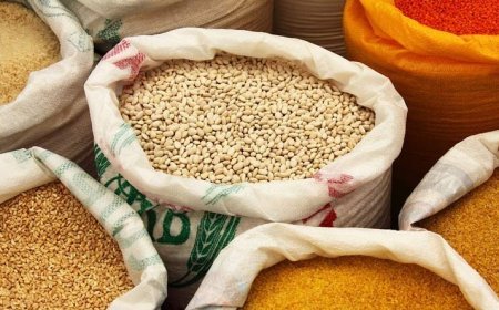 Lucknow News : दलहन और तिलहन के उत्पादन पर योगी सरकार का फोकस, किसानों की उपज बढ़ाने के लिए इनके एमएसपी में भी की गई लगातार वृद्धि