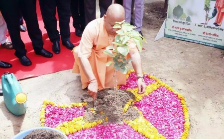 Lucknow News : 'त्रिवेणी वन' बसाकर महाकुंभ की स्मृति को ताजा रखेगी योगी सरकार, पेड़ लगाओ, पेड़ बचाओ महाभियान- 2025