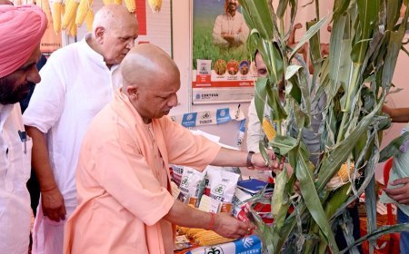Lucknow News: मक्का की लहलहाती फसल देख प्रसन्न हुए CM योगी (Yogi) आदित्यनाथ, CM योगी (Yogi) ने कानपुर, उन्नाव, कन्नौज और औरैया में एरियल सर्वे कर लिया मक्का की फसल का जायजा