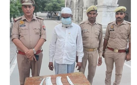 Hardoi News: हरदोई में अवैध पशु कटान के मामले में एक अभियुक्त गिरफ्तार, पुलिस ने बरामद किए चाकू और पशुओं की खाल